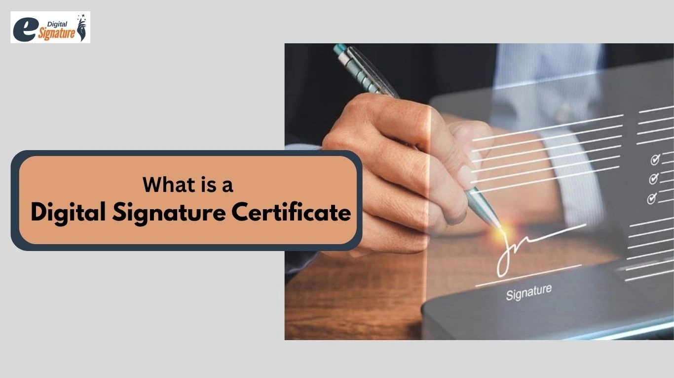 What is a DSC, types, uses and advantages
